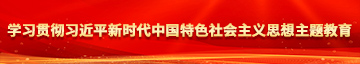 专门看中国人操B的学习贯彻习近平新时代中国特色社会主义思想主题教育